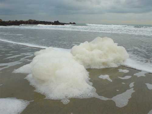 Natural foam on beach