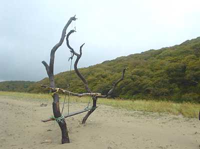 Beach sculpture